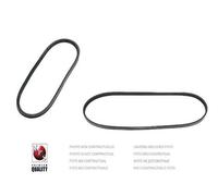 Cinghia Poly-V PER Fiat Multipla 1.6 16V BiPower 76 KW 103 CV