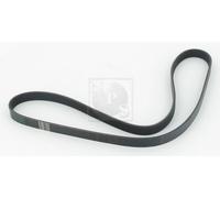 Cinghia Poly-V PER Fiat Panda / 1.4 Natural Power 57 KW 78 CV