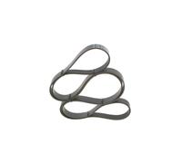 Cinghia Poly-V per FORD FORD AUSTRALIA NISSAN OPEL RENAULT SAAB VAUXHALL 9-3 AST