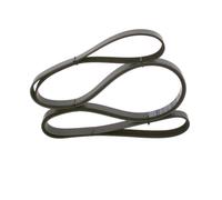 Cinghia Poly-V per FORD FORD AUSTRALIA TRANSIT