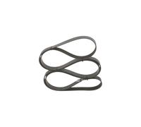 Cinghia Poly-V per FORD FORD AUSTRALIA TRANSIT