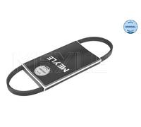 Cinghia Poly-V per FORD HYUNDAI NISSAN COUPE ESCORT FIESTA MICRA MICRA C+C NOTE