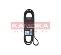 Cinghia Poly-V per FORD MAZDA MAVERICK TRIBUTE