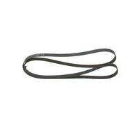 Cinghia Poly-V per FORD MERCEDES-BENZ PUCH 124 CLASSE C CLASSE G FIESTA FUSION G