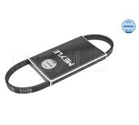 Meyle Cinghia servizi 050 004 0735 Poly-V EPDM per Ford Mondeo III, Rover 400