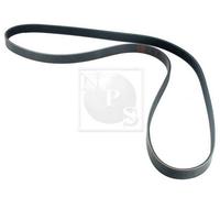 Cinghia Poly-V PER Ford Escort VI Cabrio 1.8 16V XR3i 85 KW 115 CV