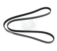 Cinghia Poly-V PER Vauxhall Vectra MK II (C) sw 1.8 103 KW 140 CV