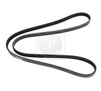 Cinghia Poly-V PER Opel Astra H sw 1.6 Turbo 132 KW 180 CV