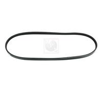 Cinghia Poly-V PER Honda Accord II 1.6 EX 65 KW 88 CV