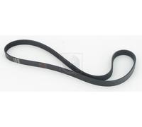 Cinghia Poly-V PER Honda Accord V 2.0i S 96 KW 131 CV