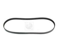 Cinghia Poly-V PER Honda Accord V 2.2i-VTEC 110 KW 150 CV