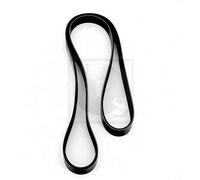 Cinghia Poly-V PER Honda Accord VIII 2.2i-DTEC 132 KW 180 CV