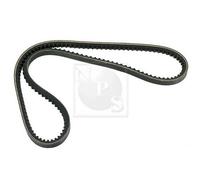 Cinghia Poly-V PER Honda Civic I Tre Vol 1300 L 44 KW 60 CV