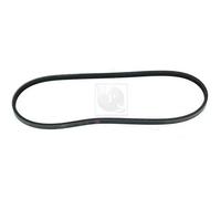 Cinghia Poly-V PER Honda Civic III Hatchback 1.5 GTi 66 KW 90 CV