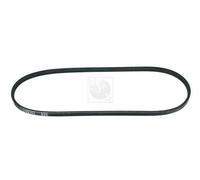 Cinghia Poly-V PER Honda CRX II 1.6i 16V 79 KW 107 CV
