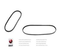 Cinghia Poly-V PER Honda Civic IX 1.4i-VTEC 73 KW 99 CV