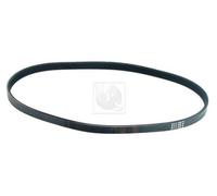 Cinghia Poly-V PER Honda Civic V Hatchback 1.6 Si 16V 90 KW 122 CV