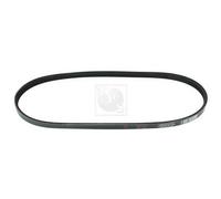 Cinghia Poly-V PER Honda Civic V Tre Vol 1.5i 16V 69 KW 94 CV