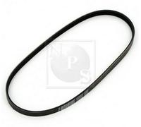 Cinghia Poly-V PER Honda Civic VI Aerodeck 1.4 16V 55 KW 75 CV