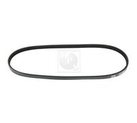 Cinghia Poly-V PER Honda Civic VI Fastback 1.5 16V 84 KW 114 CV