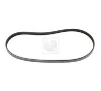 Cinghia Poly-V PER Honda Civic VI Fastback 1.6 92 KW 125 CV