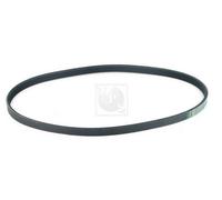 Cinghia Poly-V PER Honda Civic VI Tre Vol 1.4i 66 KW 90 CV