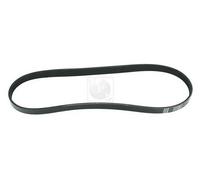 Cinghia Poly-V PER Honda Civic VII Hatchback 1.4i S (EP1) 66 KW 90 CV