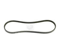 Cinghia Poly-V PER Honda Concerto 1.6i 16V 90 KW 122 CV