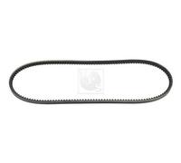 Cinghia Poly-V PER Honda Concerto Tre Vol 1.4 61 KW 83 CV