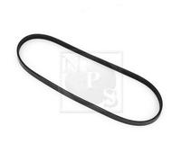 Cinghia Poly-V PER Honda Concerto Tre Vol 1.4 66 KW 90 CV