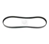 Cinghia Poly-V PER Honda FR-V 1.7 92 KW 125 CV