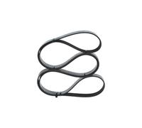 Cinghia Poly-V per HONDA HYUNDAI JEEP KIA MERCEDES-BENZ ACCORD BONGO CLASSE G CR