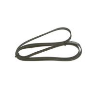 Cinghia Poly-V per HONDA HYUNDAI KIA MERCEDES-BENZ MULTICAR PUCH 124 ACCENT ACCO