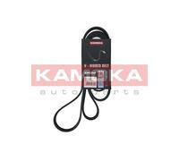 Cinghia Poly-V per HONDA INFINITI CIVIC CR-V EX FX G M35