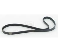 Cinghia Poly-V PER Honda Jazz III 1.4 74 KW 101 CV