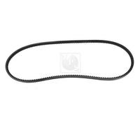 Cinghia Poly-V PER Honda Legend I 2.5i 110 KW 150 CV