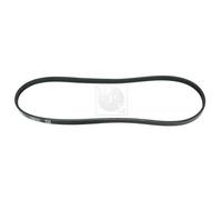 Cinghia Poly-V PER Honda Legend III 3.5i 24V 151 KW 205 CV