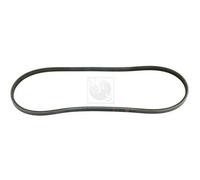 Cinghia Poly-V PER Honda Logo 1.3 48 KW 65 CV