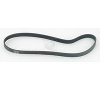 Cinghia Poly-V PER Honda Odyssey 2.3 110 KW 150 CV