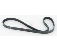 Cinghia Poly-V PER Honda Prelude IV 2.3i 16V 118 KW 160 CV