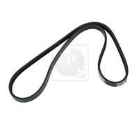 Cinghia Poly-V PER Honda Prelude V 2.2 16V 136 KW 185 CV