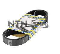 Cinghia Poly-V per HYUNDAI i10 i20 i20 ACTIVE