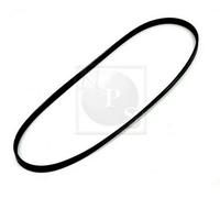 Cinghia Poly-V PER Chevrolet Corvette Cabrio 7.0 Z06 377 KW 512 CV