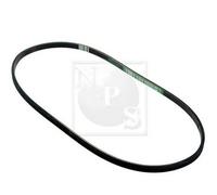 Cinghia Poly-V PER Lancia Thema 8.32 151 KW 205 CV