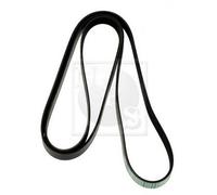 Cinghia Poly-V PER Ssangyong Rexton/Rexton II 2.7 XDi 121 KW 165 CV