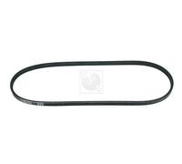 Cinghia Poly-V PER Honda CRX II 1.6i 16V 79 KW 107 CV