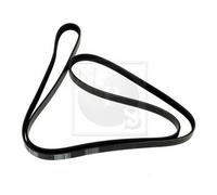 Cinghia Poly-V PER Mercedes 124 Tre Vol 250 D 66 KW 90 CV
