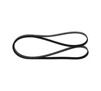 Cinghia Poly-V per MERCEDES-BENZ CLA LA