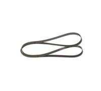 Cinghia Poly-V per MERCEDES-BENZ CLASSE A CLASSE B