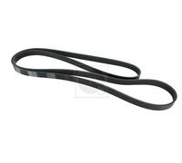 Cinghia Poly-V PER Mercedes Classe E T-Model E 320 T CDI 145 KW 197 CV